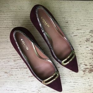 Burgundy Coach Gabby Suede Pumps